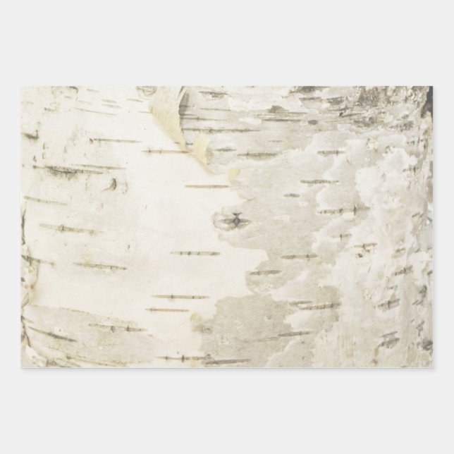 Papel de envolvimiento de Birch Naturaleza Papel d (Anverso)
