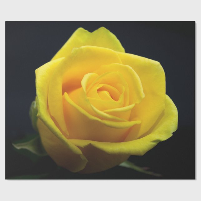 Papel de envolvimiento de El día de San Valentín r (Superficie plana)