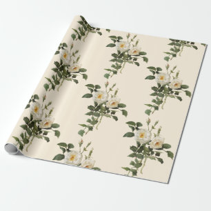 Papel de envolvimiento de flores de rosa blanca vi