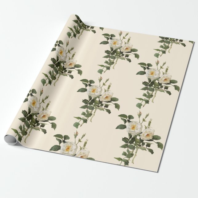 Papel de envolvimiento de flores de rosa blanca vi (Desenrollado)