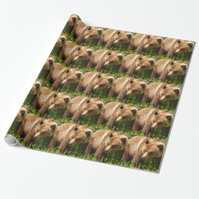 Papel de envolvimiento de Grizzly Bear Kodiak (Desenrollado)