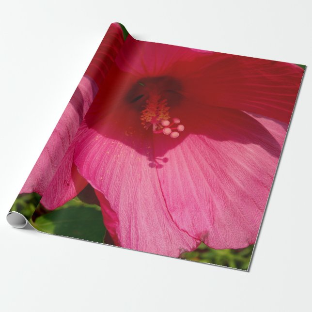 Papel de envolvimiento de hibiscus Photo Linen ros (Desenrollado)