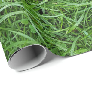 Papel de envolvimiento de hierba verde