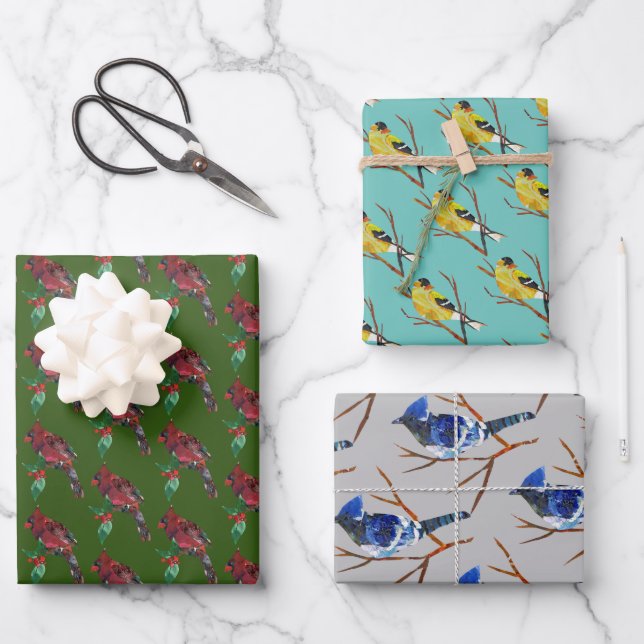 Papel de envolvimiento de la colección de aves (Anverso)