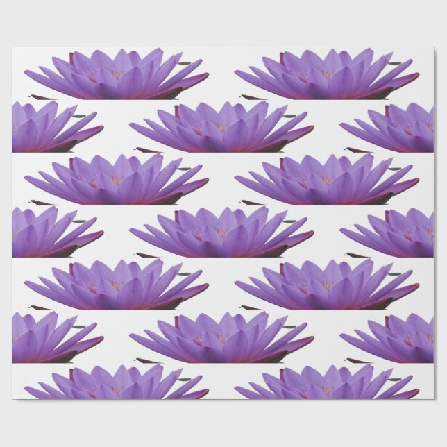 Papel de envolvimiento de la flor morada crocus (Superficie plana)