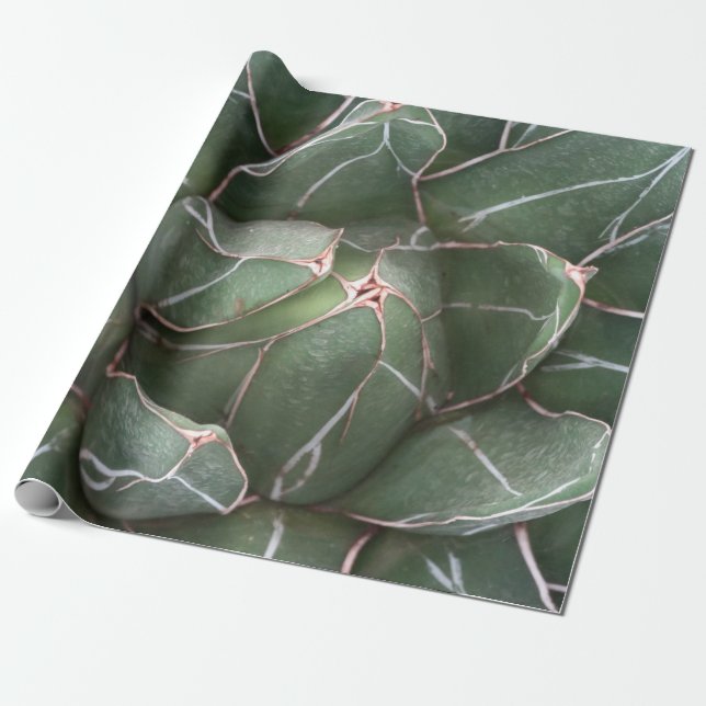 Papel de envolvimiento de la materia de la planta  (Desenrollado)