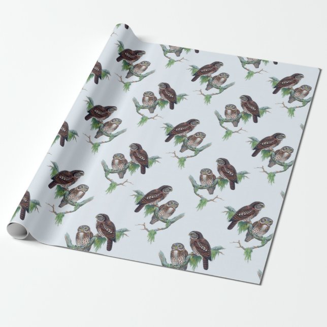 Papel de envolvimiento de lechuza (Desenrollado)