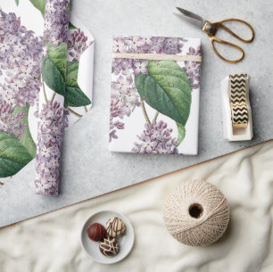 Papel de envolvimiento de lila elegante