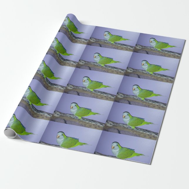 Papel de envolvimiento de loro de Quaker (Desenrollado)