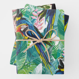 Papel de envolvimiento de loro Jungla de hoja plan