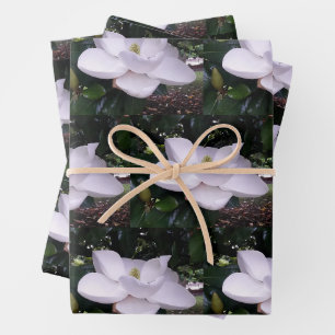 Papel de envolvimiento de magnolia blanco conjunto