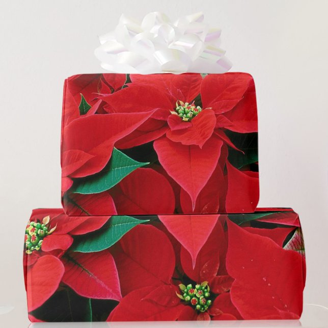 Papel de envolvimiento de Navidades de la Poinsett (Subido por el creador)