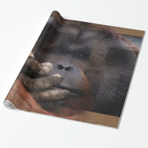 Papel de envolvimiento de orangután