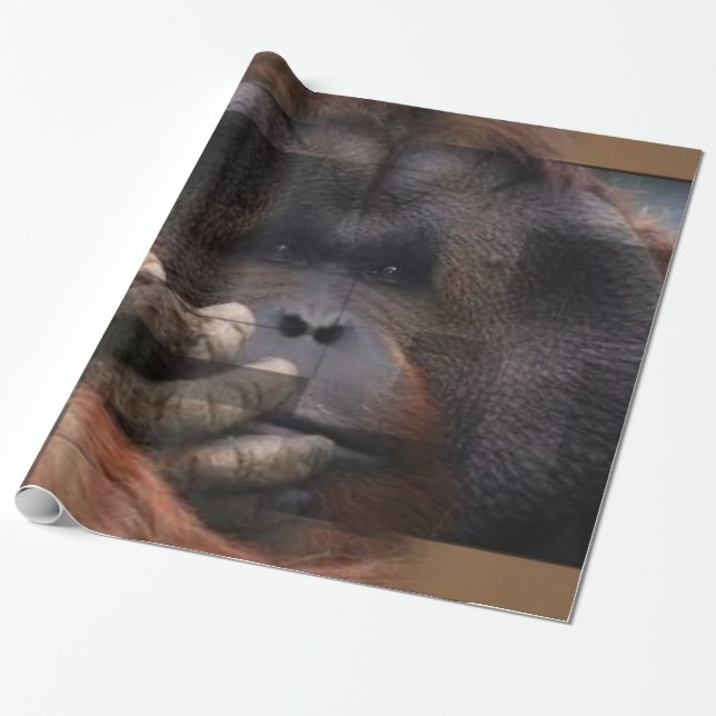 Papel de envolvimiento de orangután (Desenrollado)