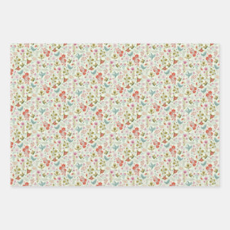 papel de envolvimiento de pájaros volantes de boni