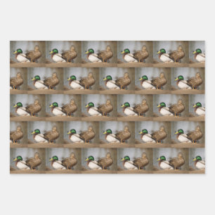 Papel de envolvimiento de pato mallard