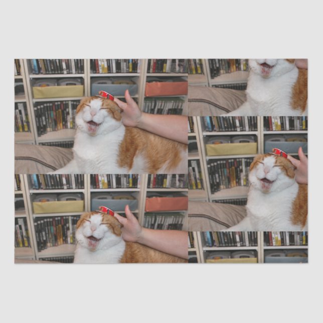 Papel de envolvimiento de podgy Scarlett (Anverso)