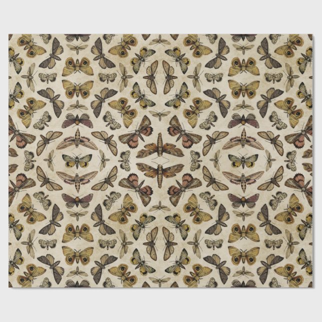 Papel de envolvimiento de polillas de época (Superficie plana)