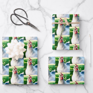 Papel de envolvimiento de pollo blanco