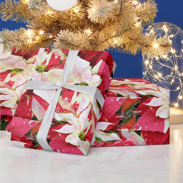 Papel de envolvimiento de vacaciones de Poinsettia (Vacaciones)