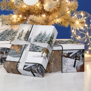 Papel de envolvimiento de vida silvestre de la tem