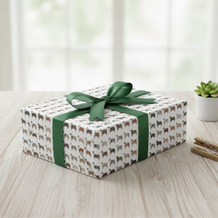 Papel de envolvimiento del patrón de abrigo de pas