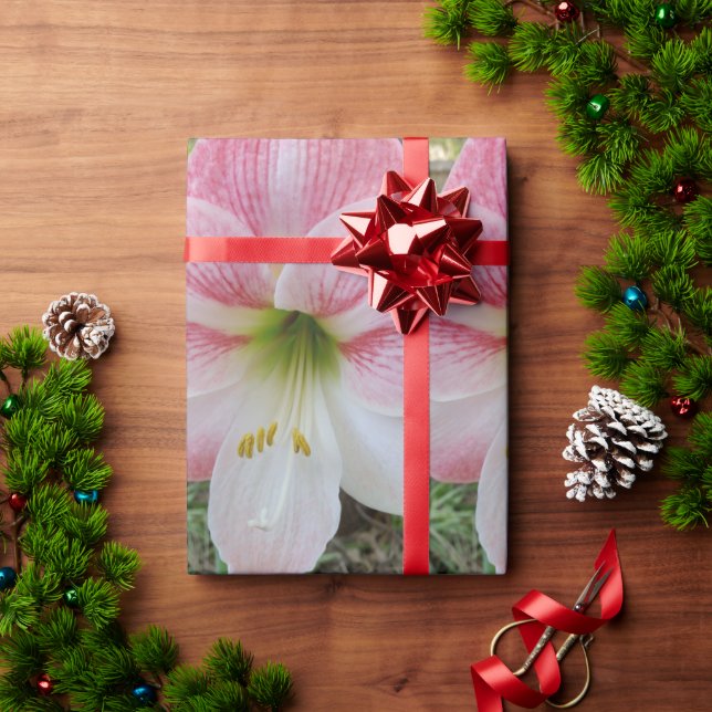 Papel de envolvimiento para regalo de amarilis ros (Regalo de vacaciones)