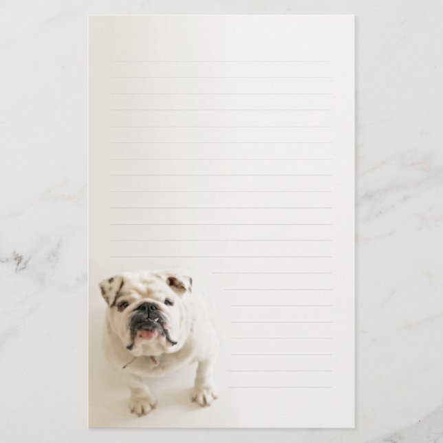 Papel de escribir alineado bulldog blanco leal (Anverso)