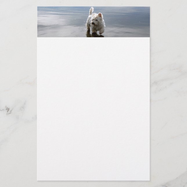 Papel de estantería de reflexión sobre los roces d (Anverso)