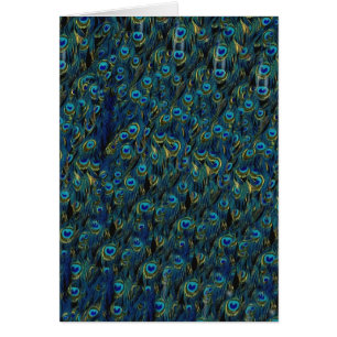 Papel de fondo de pantalla de las plumas de pavo r