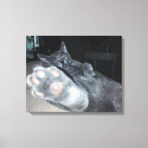 Papel de gato Impresión de lienzo estirado de 20"x