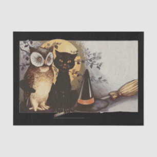 papel de halloween búho y papel de gato