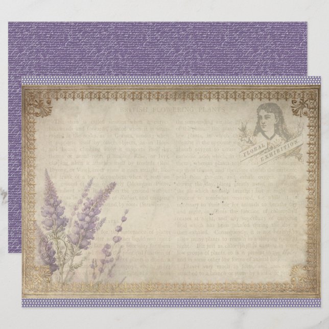 Papel de hoja de diario Lavanda Vintage (Anverso / Reverso)