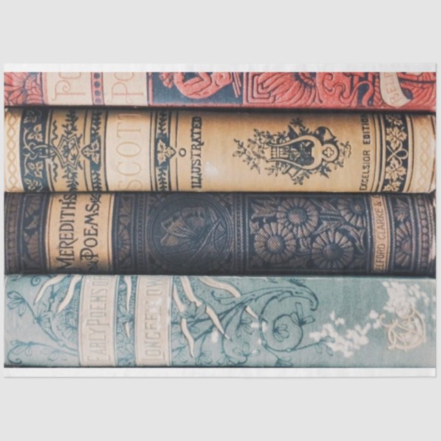 Papel de la página web de la columna vertebral del (Anverso)