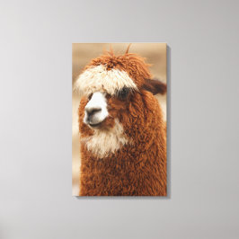 Papel de lienzo de Alpaca