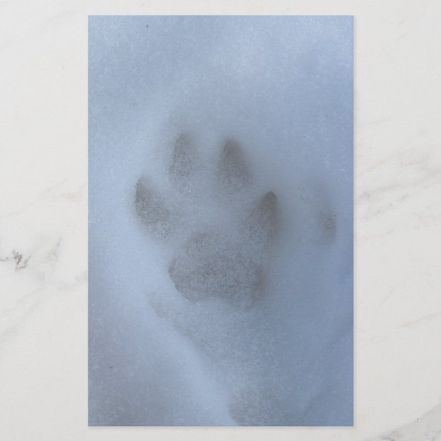 Papel de lobo gris salvaje impreso en nieve de inv (Anverso)