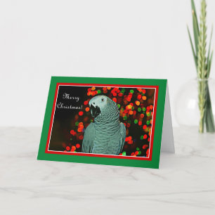 Papel de loro gris africano con árbol de Navidad