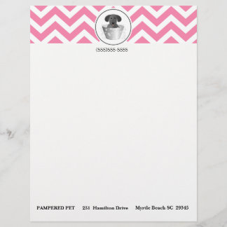 Papel de membrete para negocios de mascota Groomer