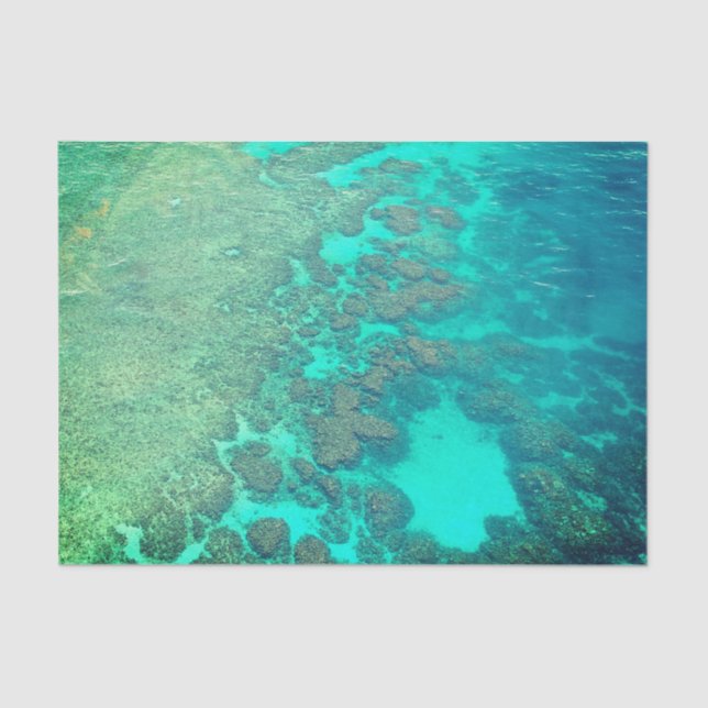 Papel de papel de arrecife de coral (Anverso)