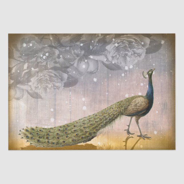 Papel de papel de melocotón y Rosa de la época (Anverso)