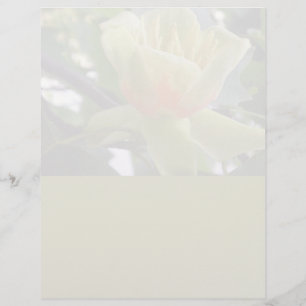 Papel de papel de membrete de Magnolia reciclado