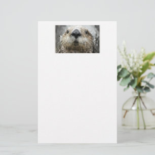 Papel de papelería con cara de nutria marina