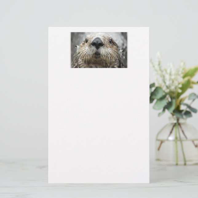 Papel de papelería con cara de nutria marina (Anverso de pie)