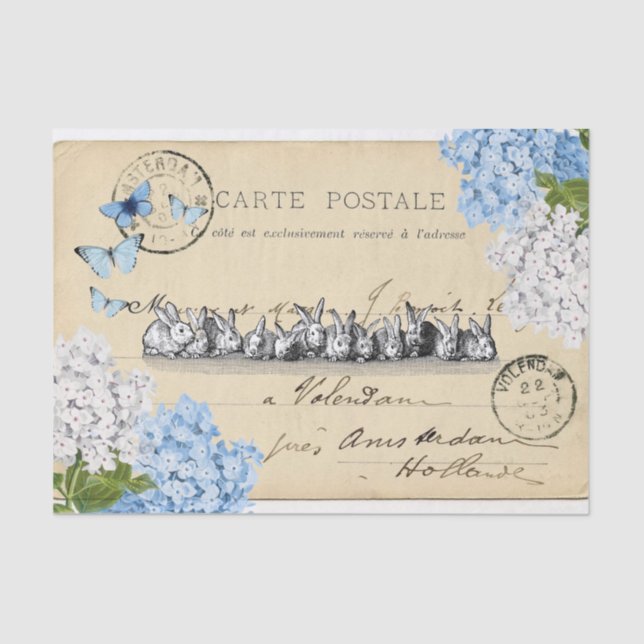 Papel de posventa de Bunny Blue Floral Paris (Anverso)