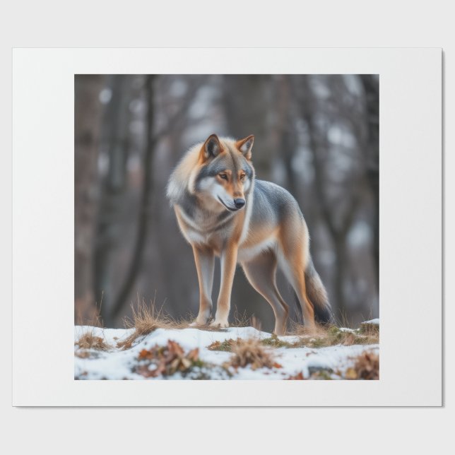 Papel de regalo  (Superficie plana)