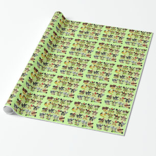 Papel De Regalo 16 familias de pollos