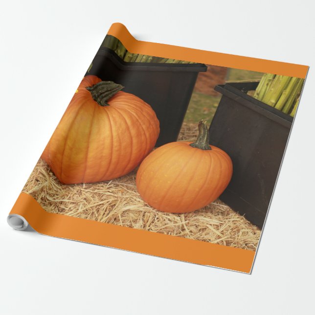 Papel De Regalo 2 calabaza de país (Desenrollado)