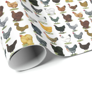 Papel De Regalo 49 gallinas del pollo