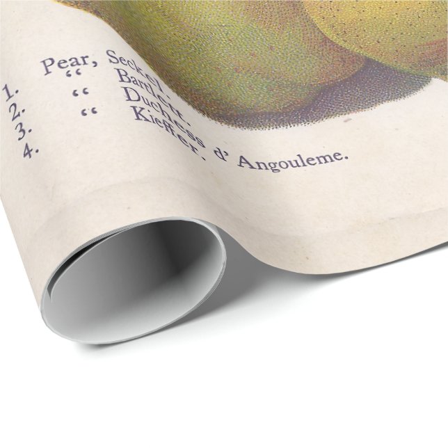 Papel De Regalo 5 peras vintage ilustradas (Esquina del rollo)
