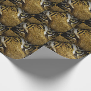 Papel De Regalo A los ojos de un tigre